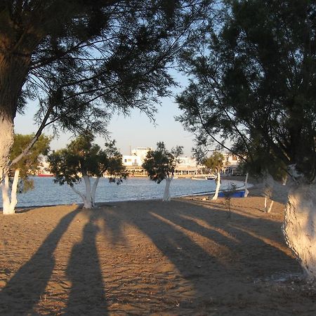 بولونيا Villa Mary Elen المظهر الخارجي الصورة